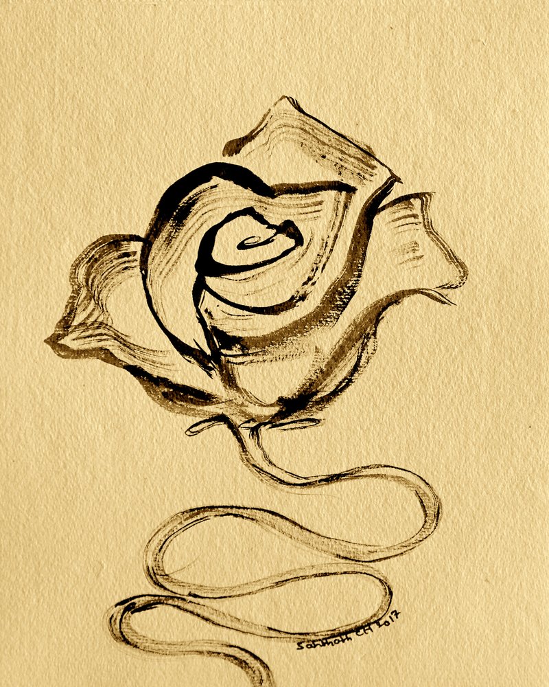 Rosa fluida elegante de Santhosh ch