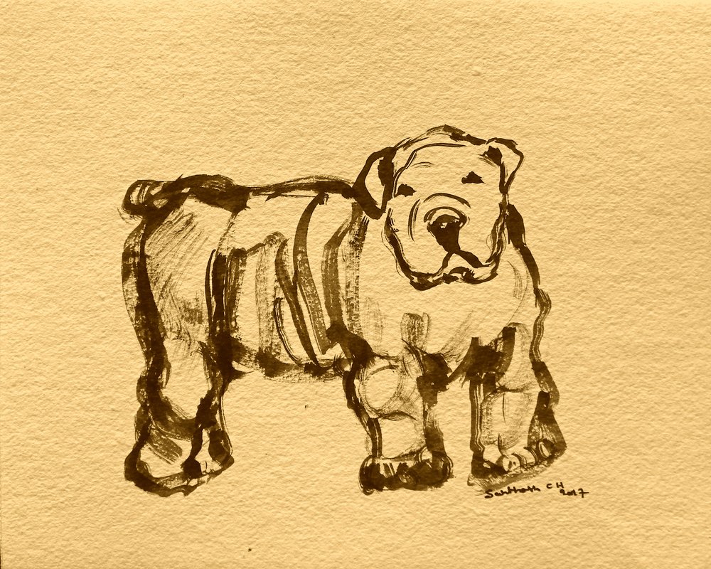 Esboço expressivo de buldogue de Santhosh ch