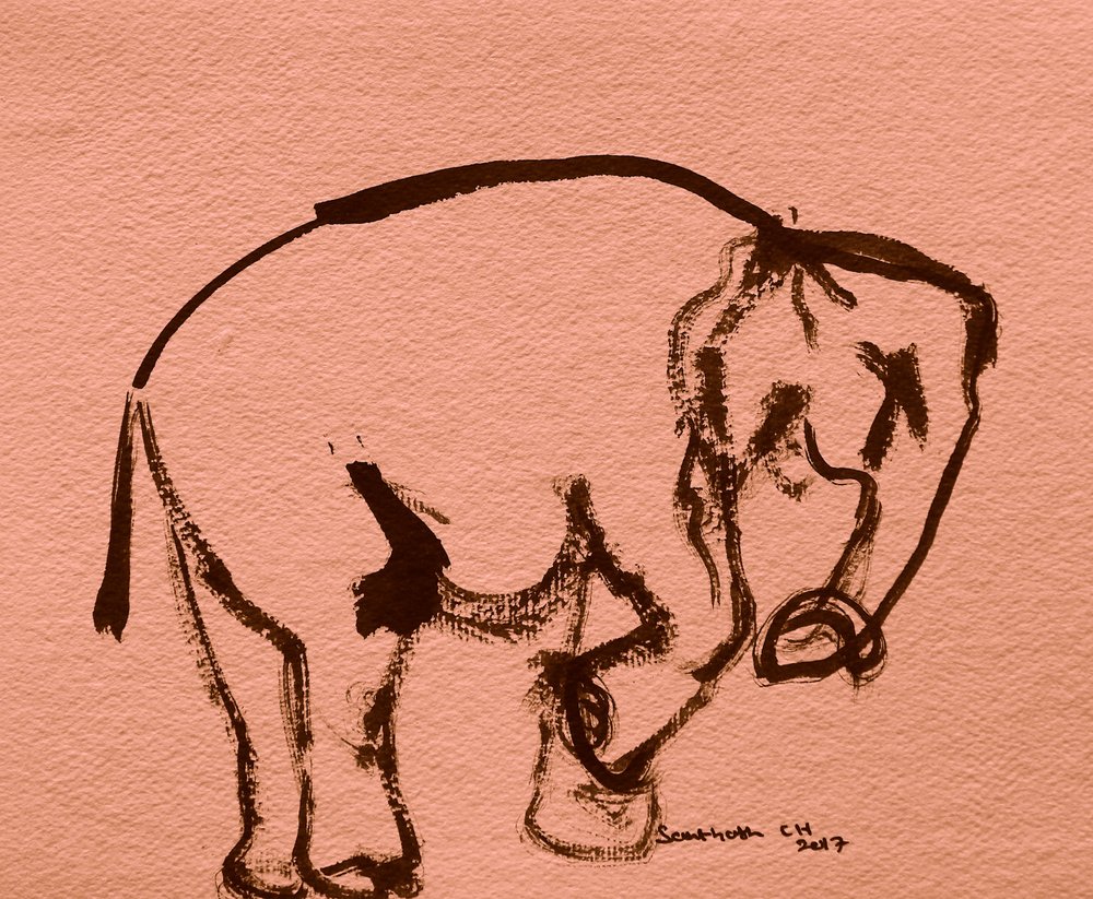 Esboço expressivo de elefante de Santhosh ch