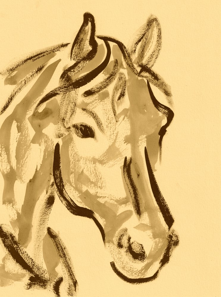 Retrato expressivo de cavalo de Santhosh ch