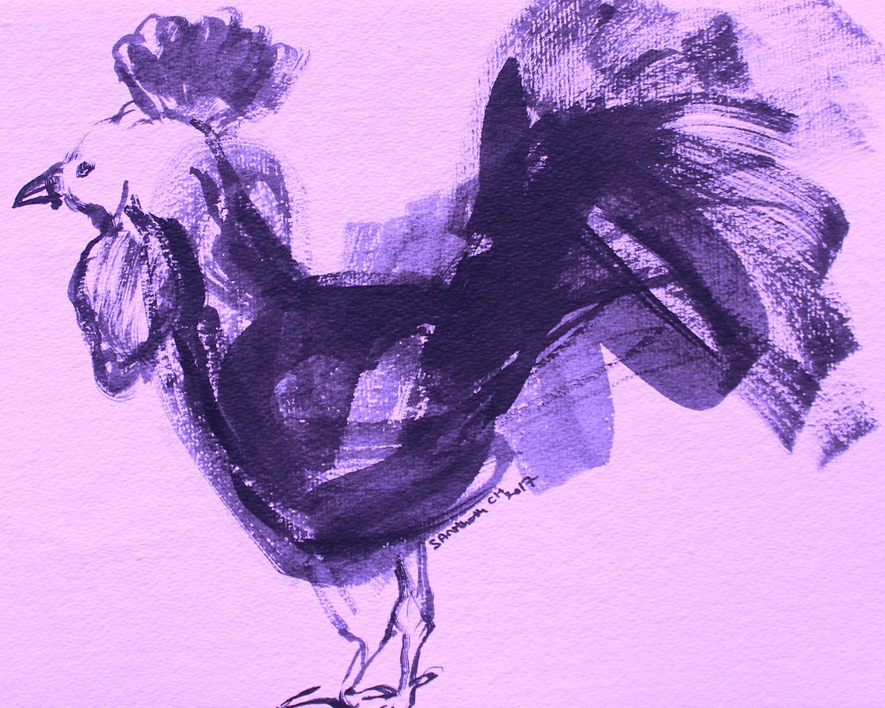 Galo roxo expressivo de Santhosh ch
