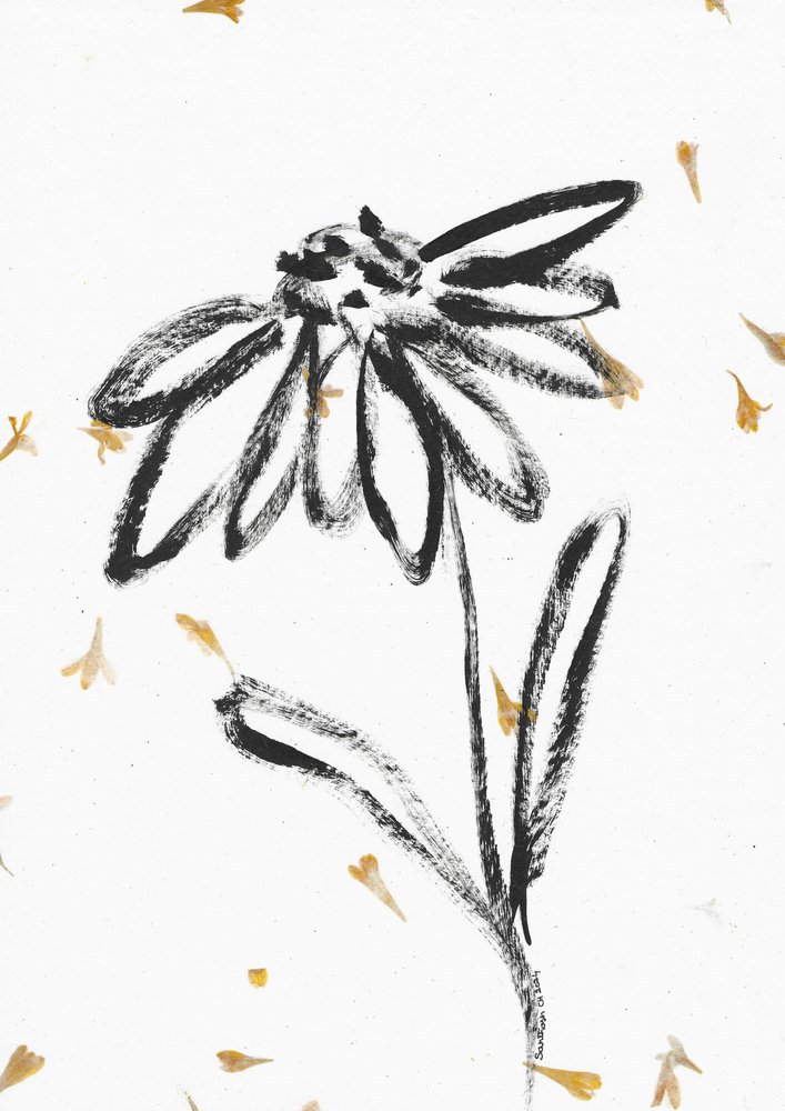 Flor com pétalas a cair de Santhosh ch
