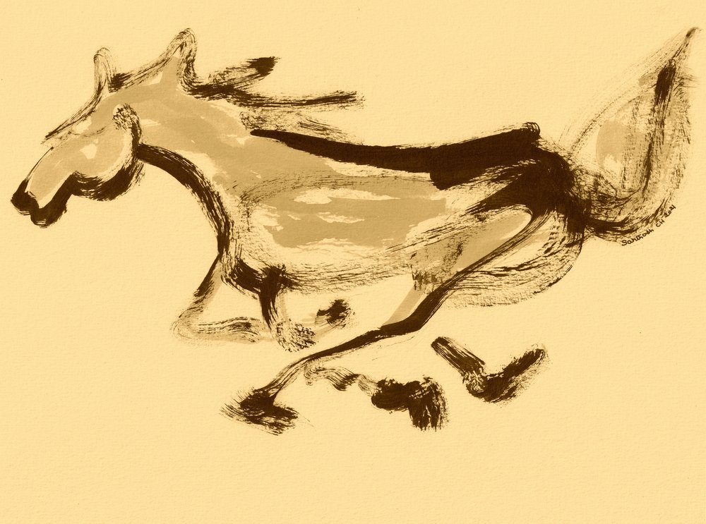 Movimento de cavalo a galope de Santhosh ch