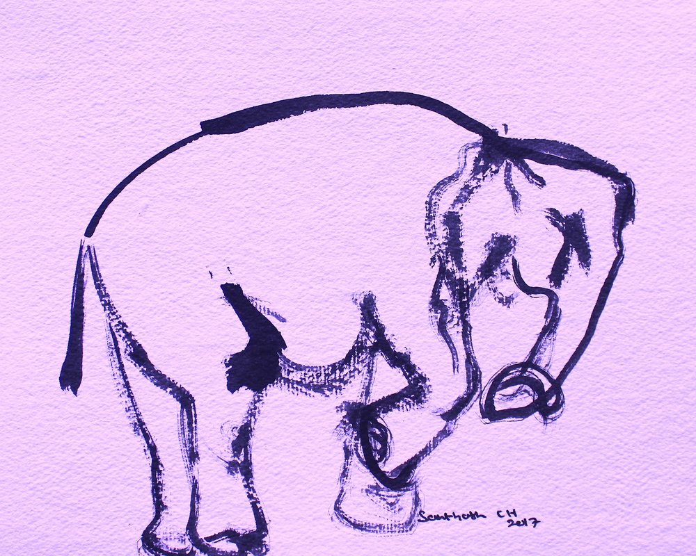 Elefante suave a tinta de Santhosh ch