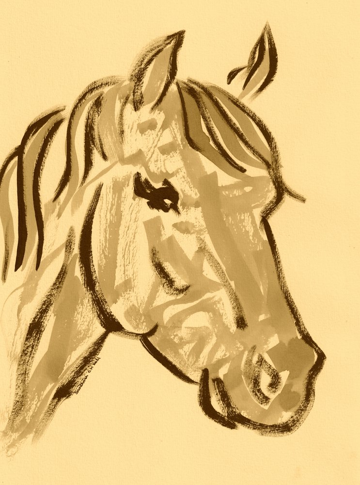 Gracioso esboço de cavalo de Santhosh ch