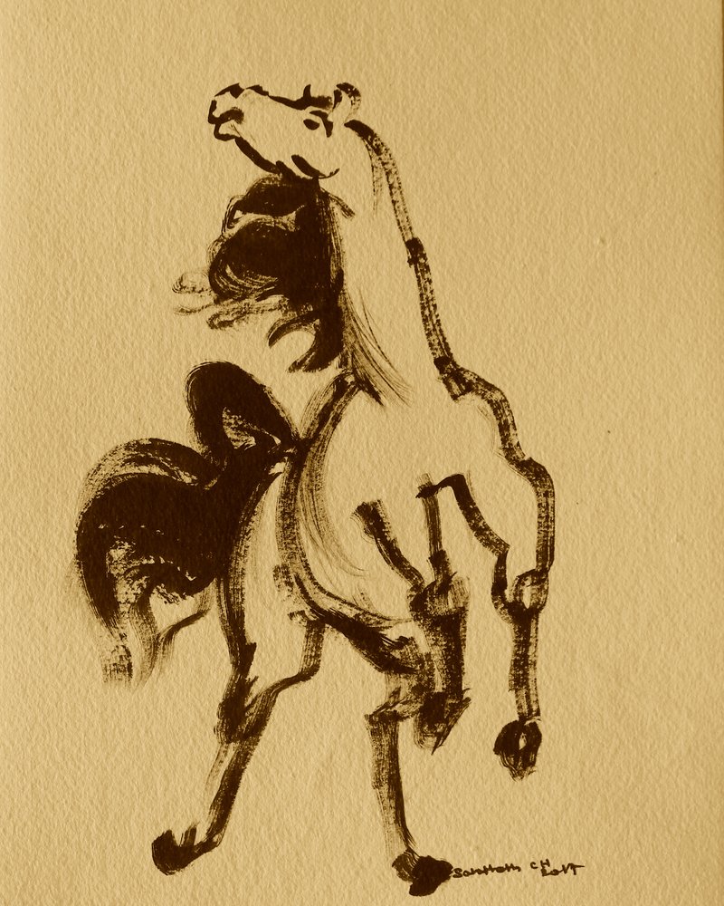 Cavalo 24 de Santhosh ch
