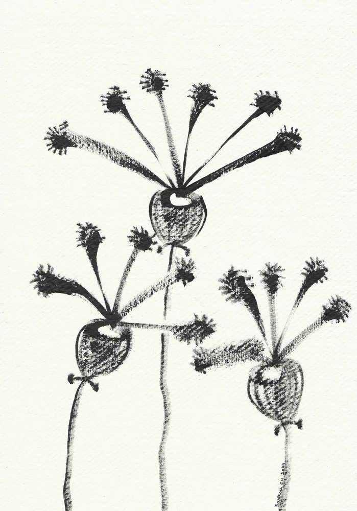 Desenho botânico minimalista de Santhosh ch