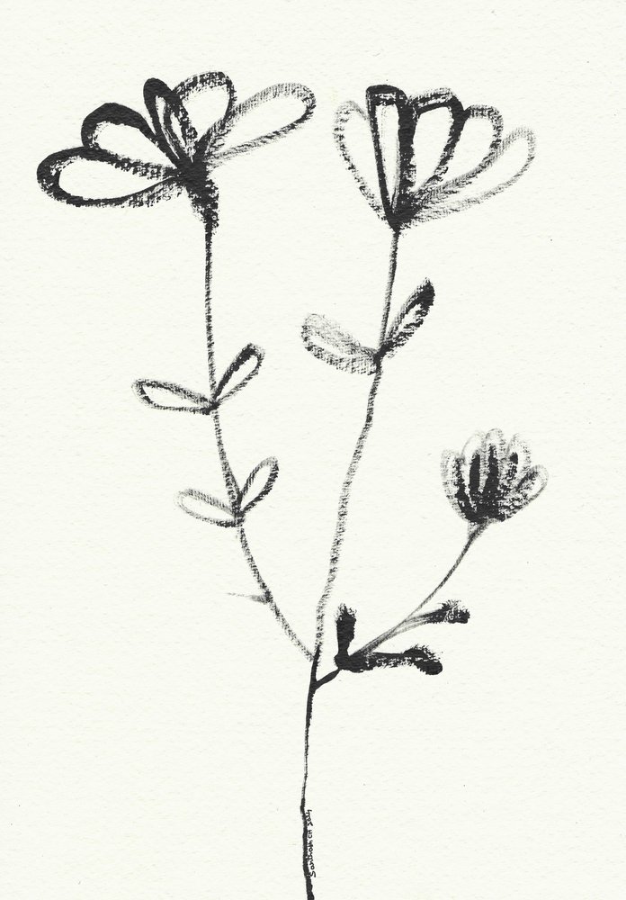 Esboço floral minimalista de Santhosh ch