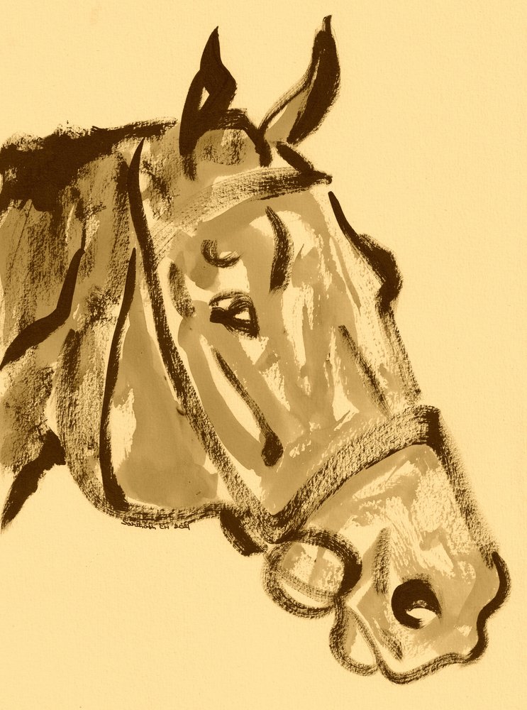 Retrato de um nobre cavalo de Santhosh ch