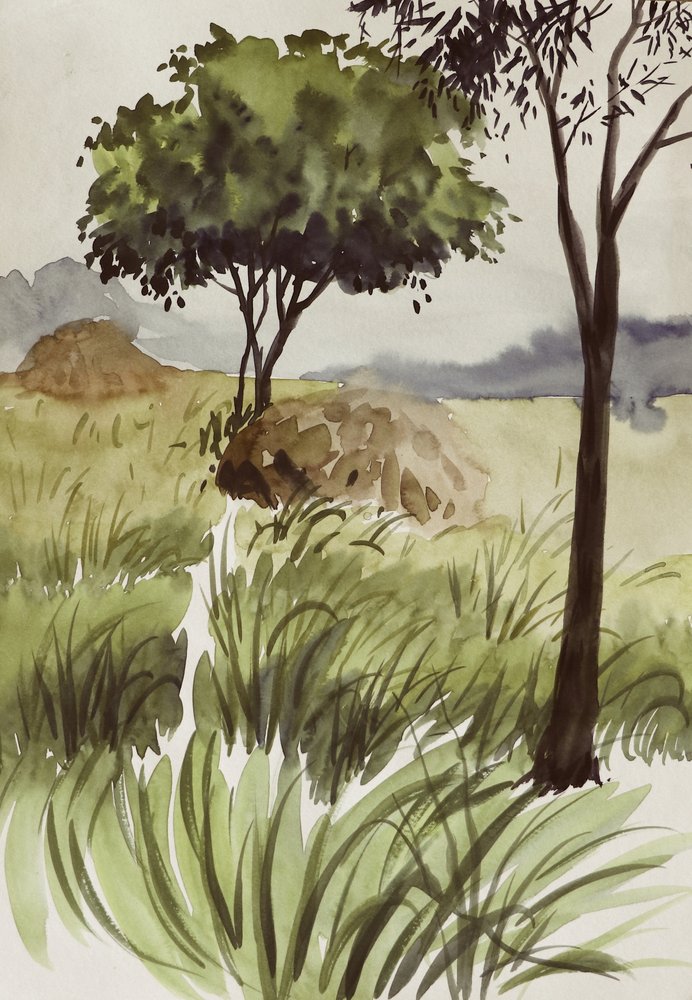 Campos verdes e tranquilos de Santhosh ch