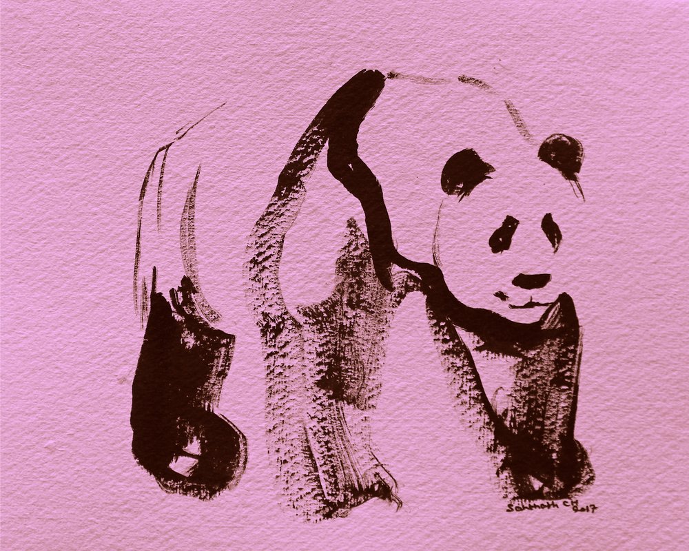 Pinceladas de panda cor-de-rosa de Santhosh ch