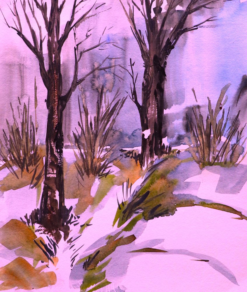 Bosque de Inverno Cor-de-rosa de Santhosh ch