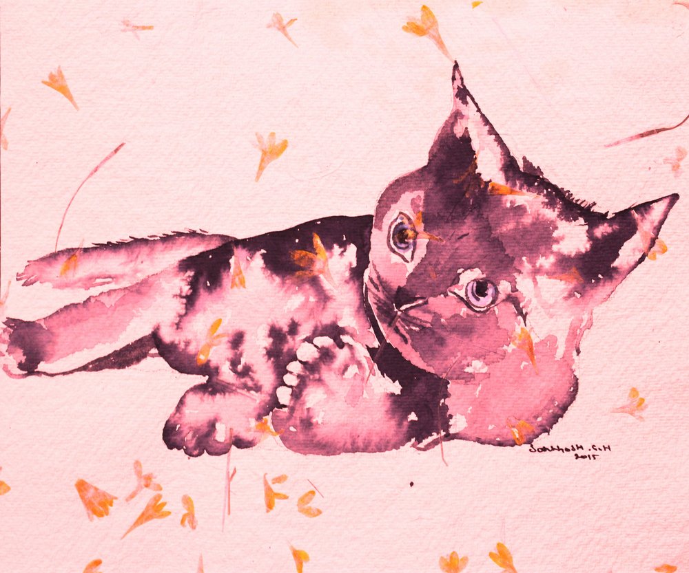 Gatinho rosa brincalhão de Santhosh ch