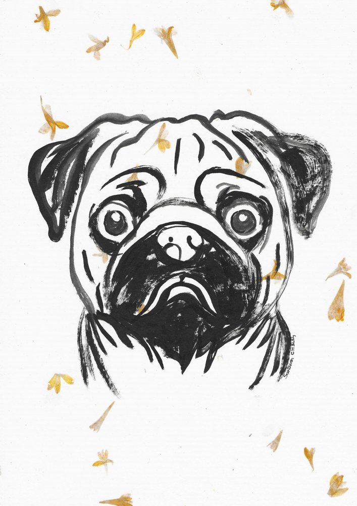 Cão pug com pétalas a cair de Santhosh ch