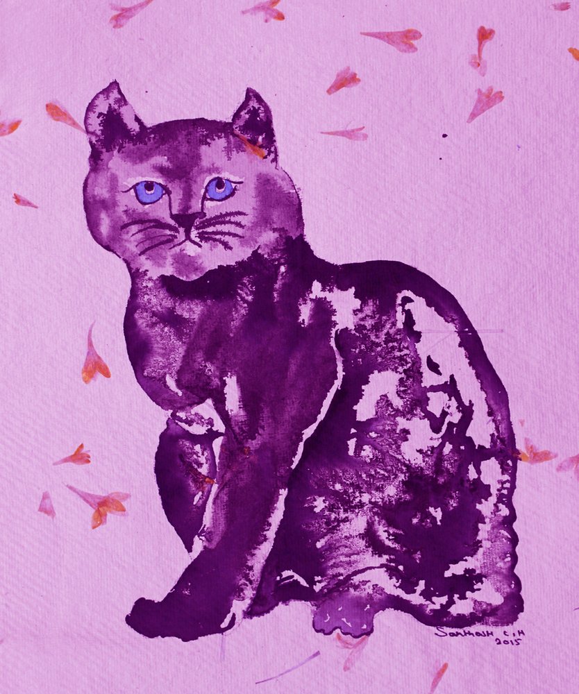Gato Roxo e Pétalas de Santhosh ch