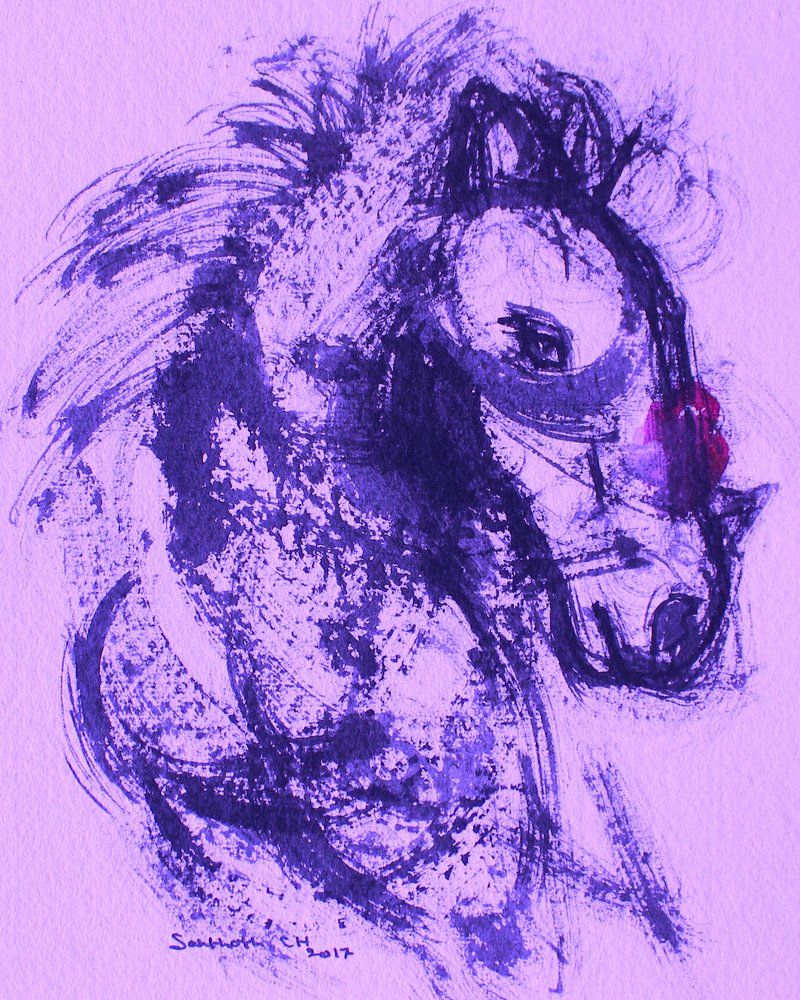 Espírito do Cavalo Roxo de Santhosh ch