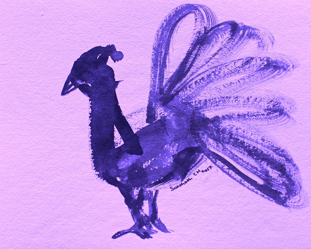 Pavão púrpura majestoso de Santhosh ch