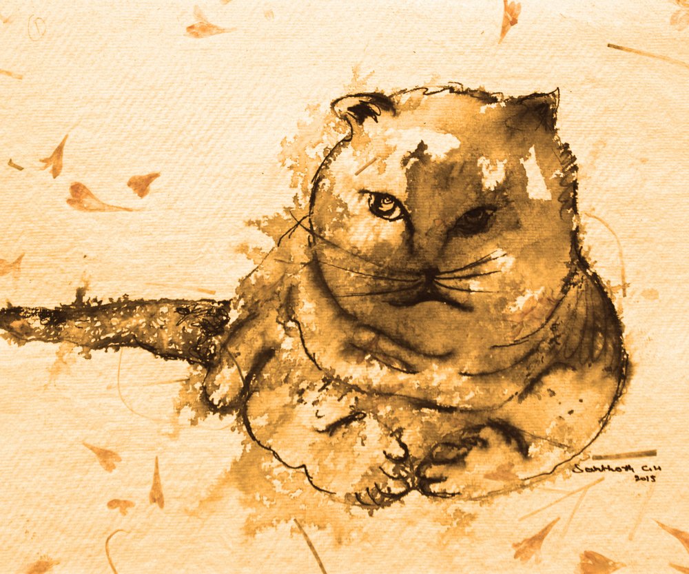 Artigo 41.º de Santhosh ch