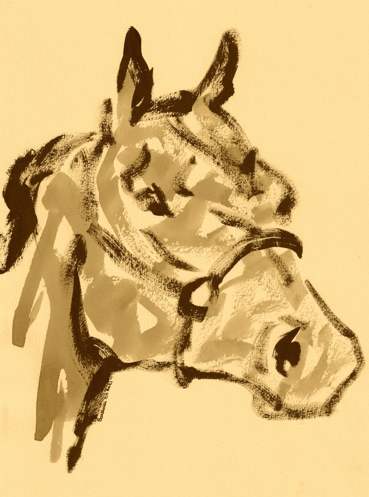 Retrato de cavalo em sépia de Santhosh ch