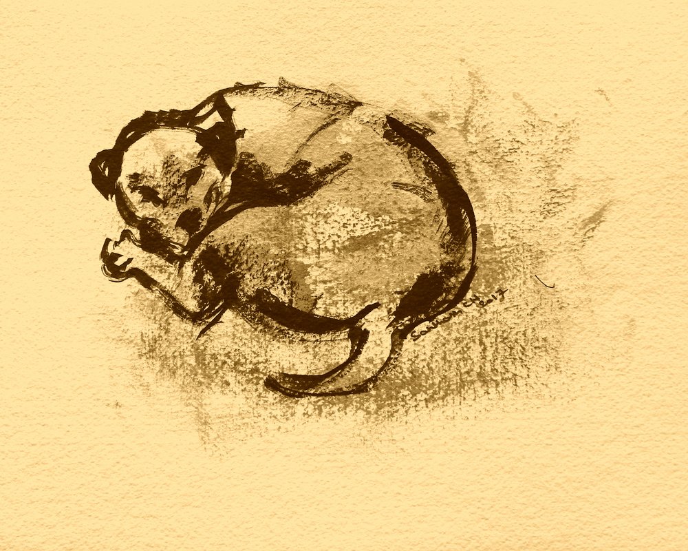 Esboço de cachorro a dormir de Santhosh ch