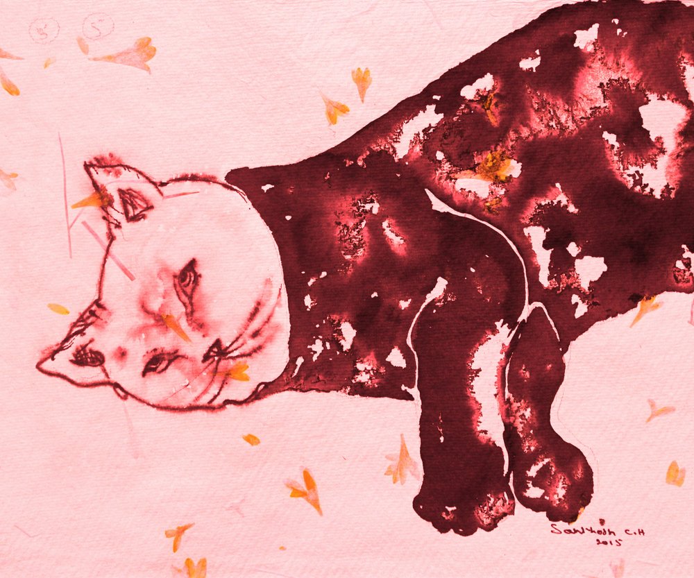 Gato Vermelho a Dormir de Santhosh ch