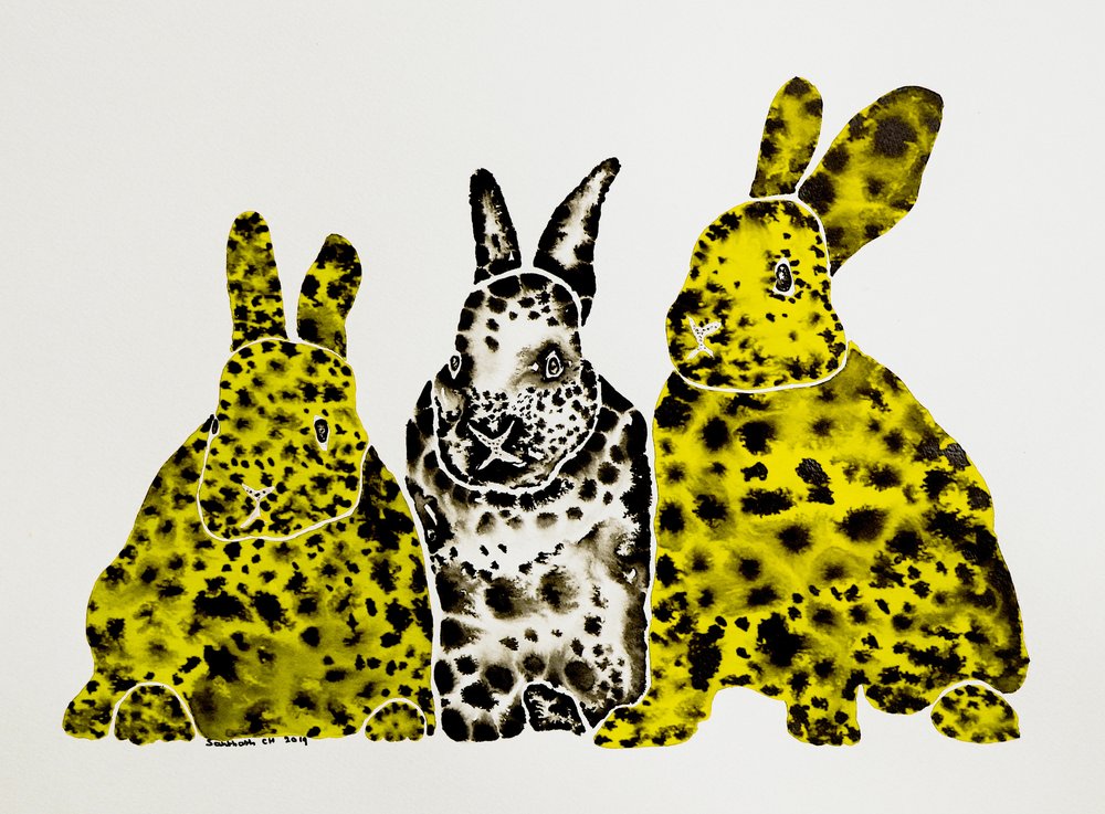 Coelhos-leopardo malhados de Santhosh ch