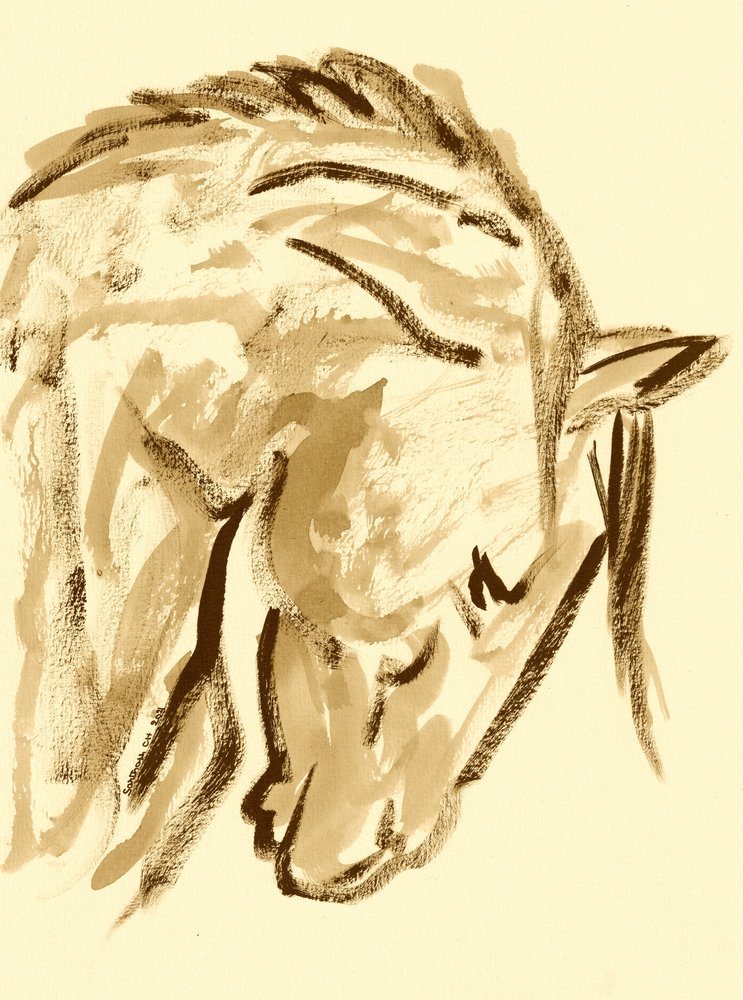 Esboço de cavalo selvagem de Santhosh ch