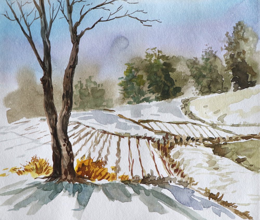 Paisagem de campo no inverno de Santhosh ch