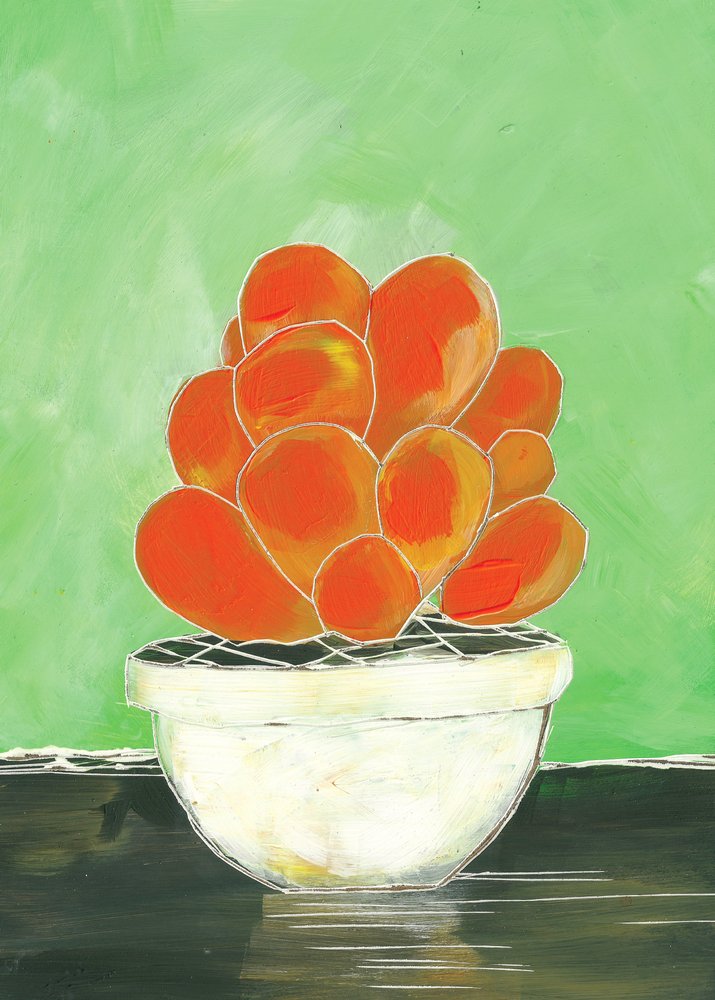 Suculenta em vaso com cores vivas de Sarah Fitzgerald