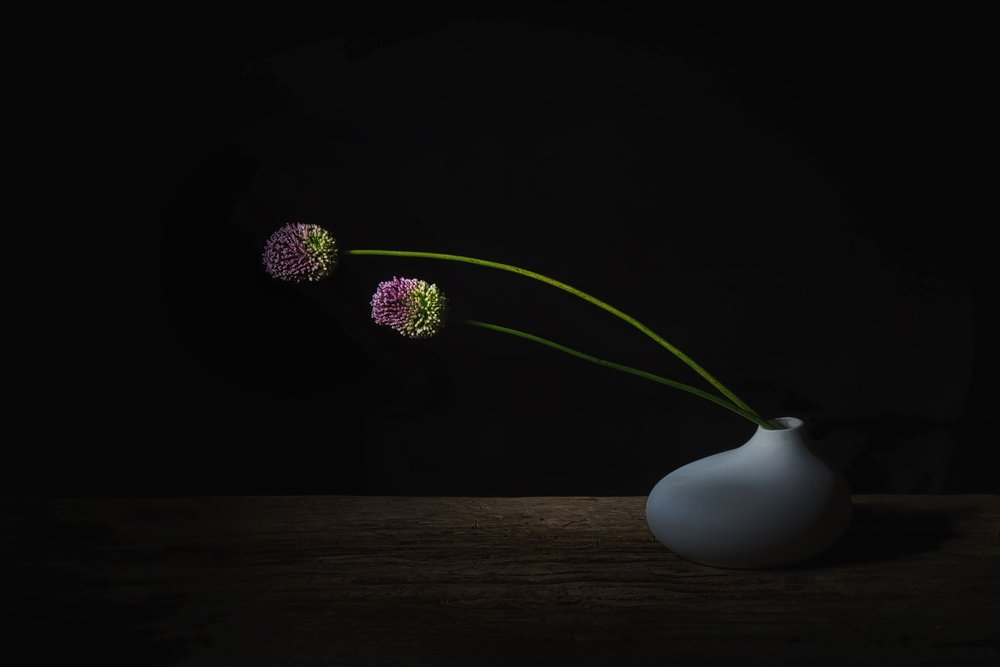 Flores escuras de Allium de Saskia Dingemans