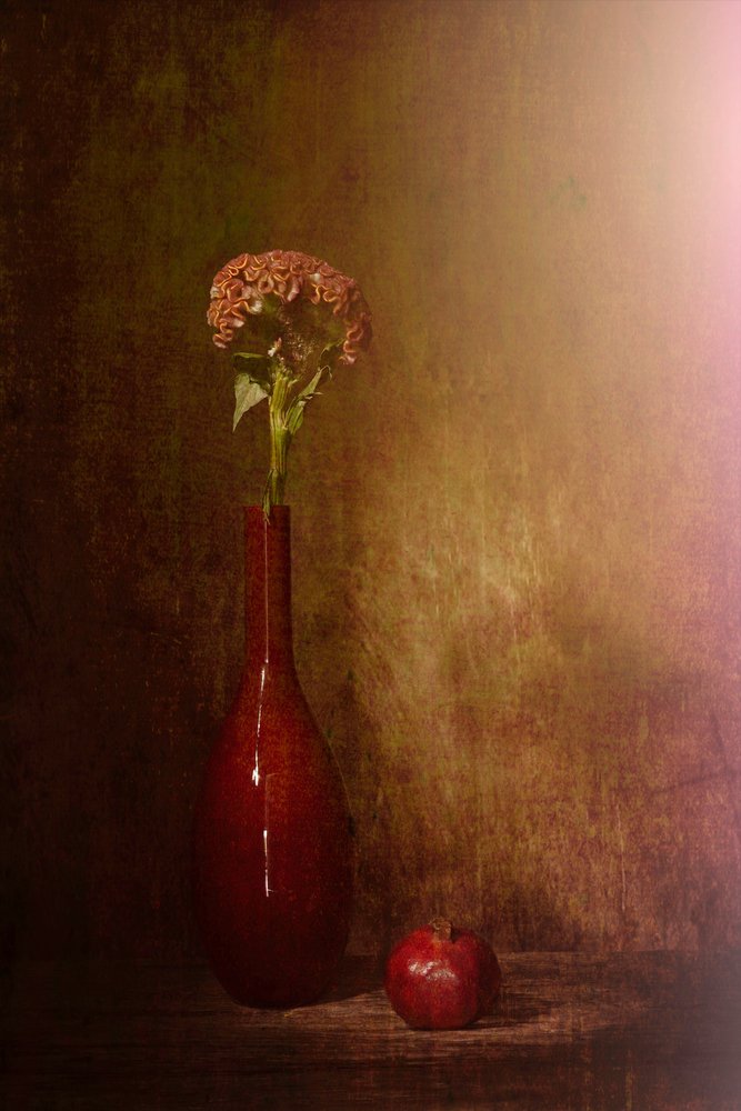 Natureza-morta sombria em flor de Saskia Dingemans