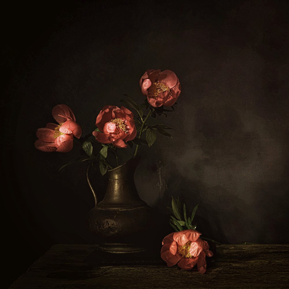 Flores de peónia vermelho-escuro de Saskia Dingemans