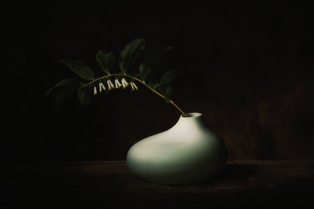 Natureza morta «Delicate Bloom Dark» de Saskia Dingemans