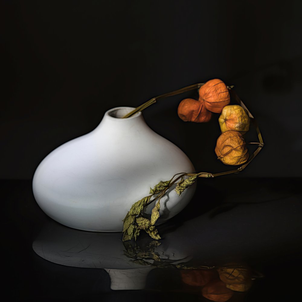 Natureza morta elegante com physalis de Saskia Dingemans