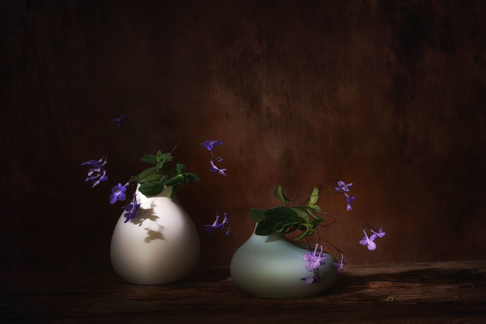 Flores roxas flutuantes de Saskia Dingemans