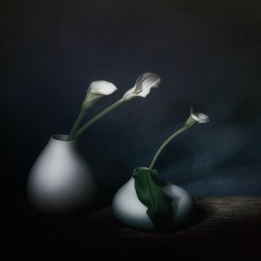 Flores de Calla «Moody» de Saskia Dingemans