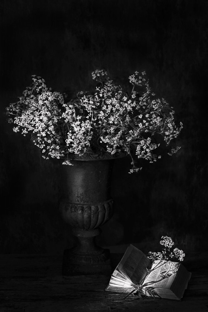 Natureza morta floral melancólica de Saskia Dingemans