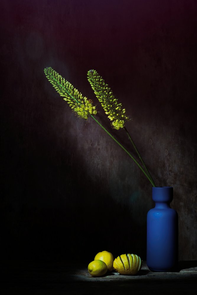Flores amarelas melancólicas Limões de Saskia Dingemans