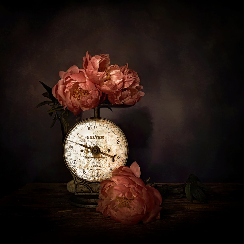 Peónias cor-de-rosa em escala de Saskia Dingemans