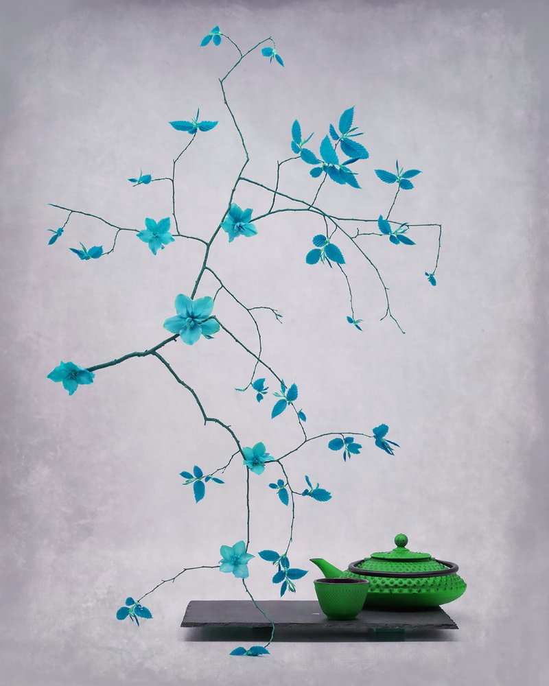 Conjunto de chá botânico «Serene» de Saskia Dingemans