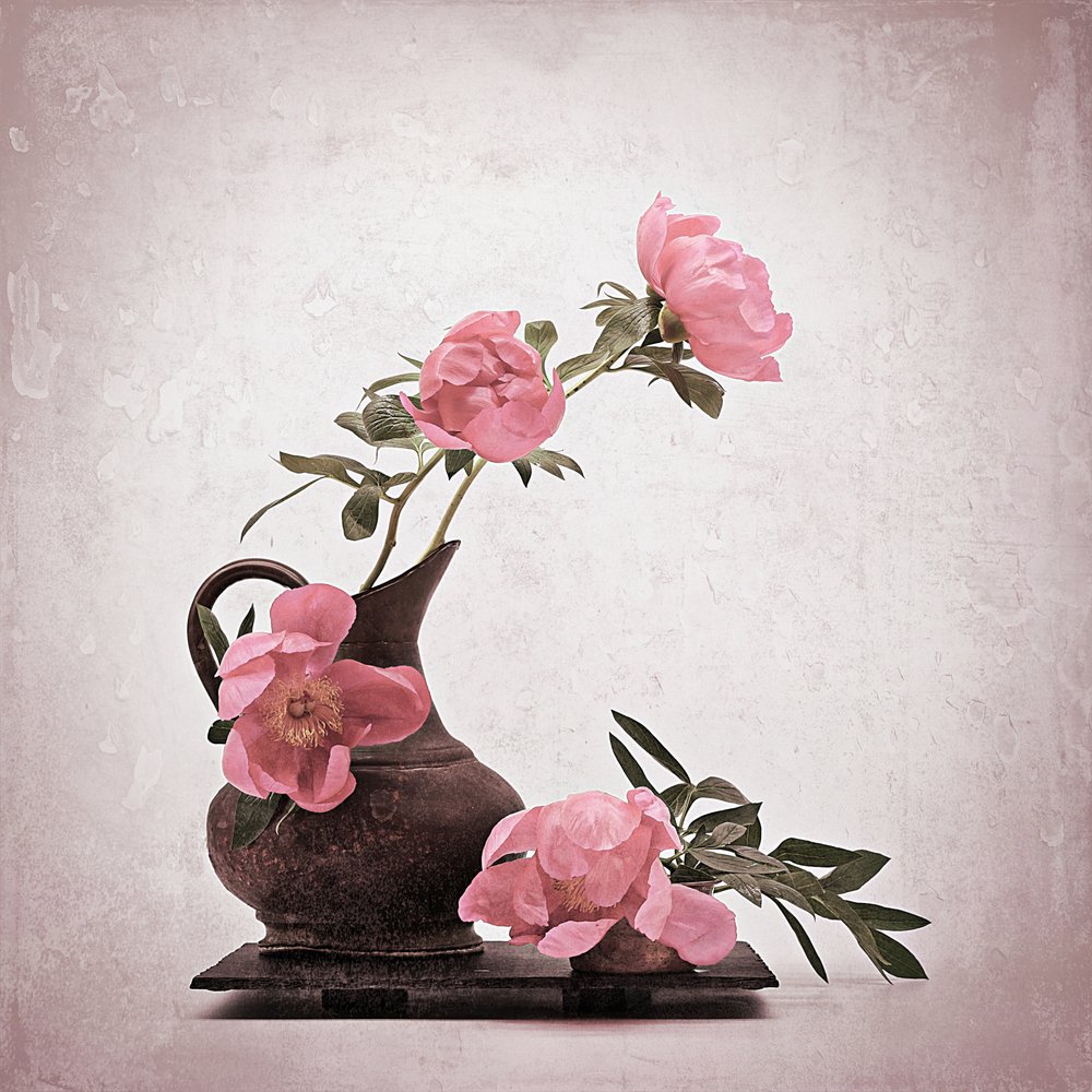 Peónias rosa suave de Saskia Dingemans