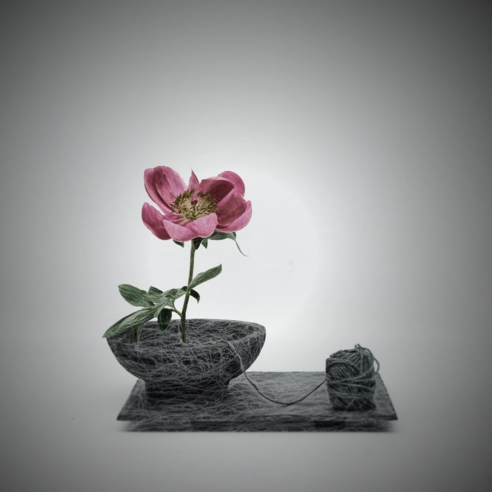 Cena de flores cor-de-rosa bordada de Saskia Dingemans