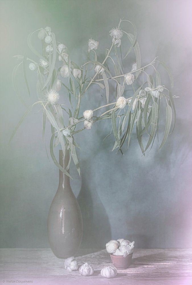 Brilho de inverno. de Saskia Dingemans