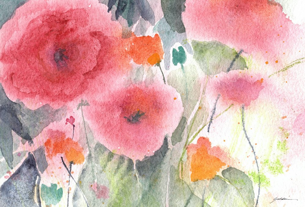 Papoilas em aquarela rosa de Sheila Golden