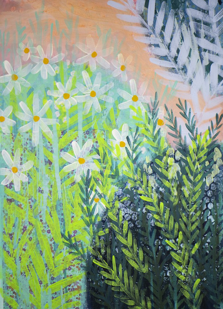 Vibrante jardim de margaridas de Shelley Hampe