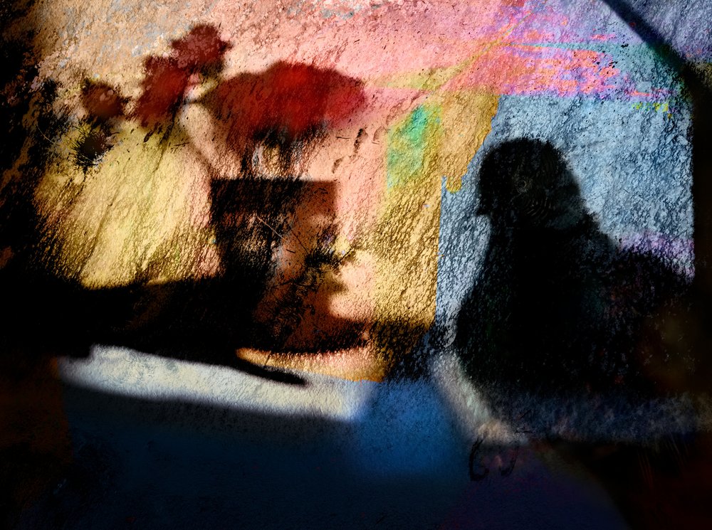 Sombras coloridas de aves de Shenshen Dou