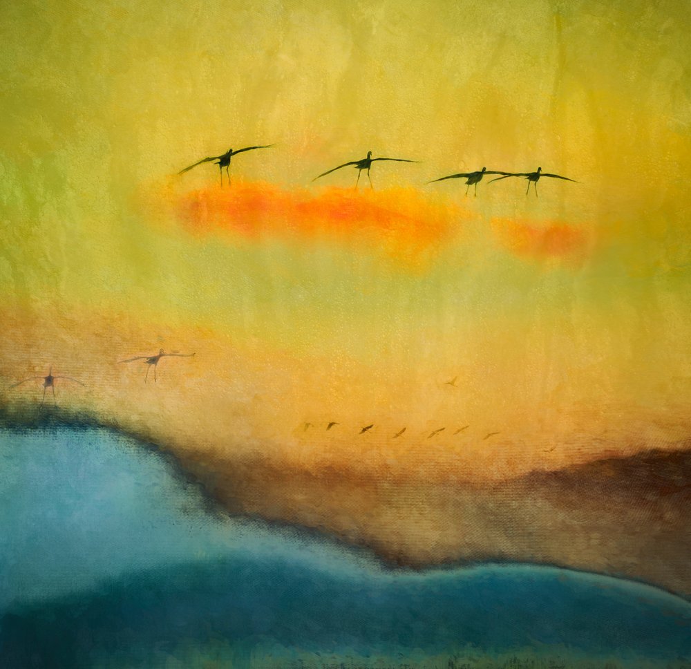 Voo de aves na hora dourada de Shenshen Dou