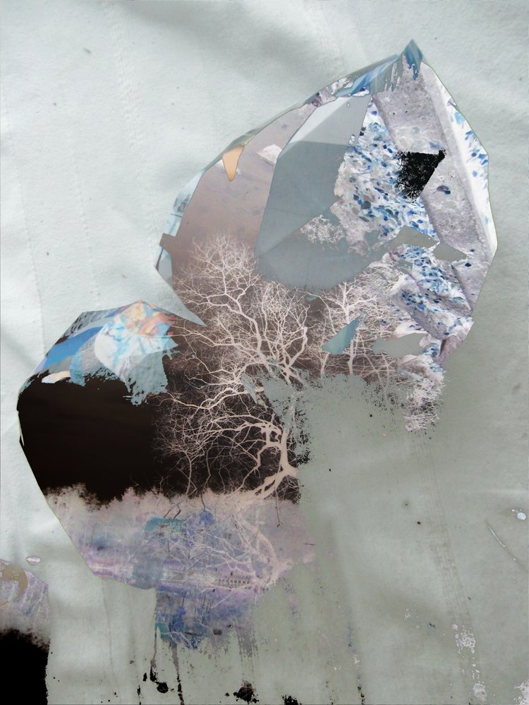 Árvores de inverno abstratas de Stefan Fransson