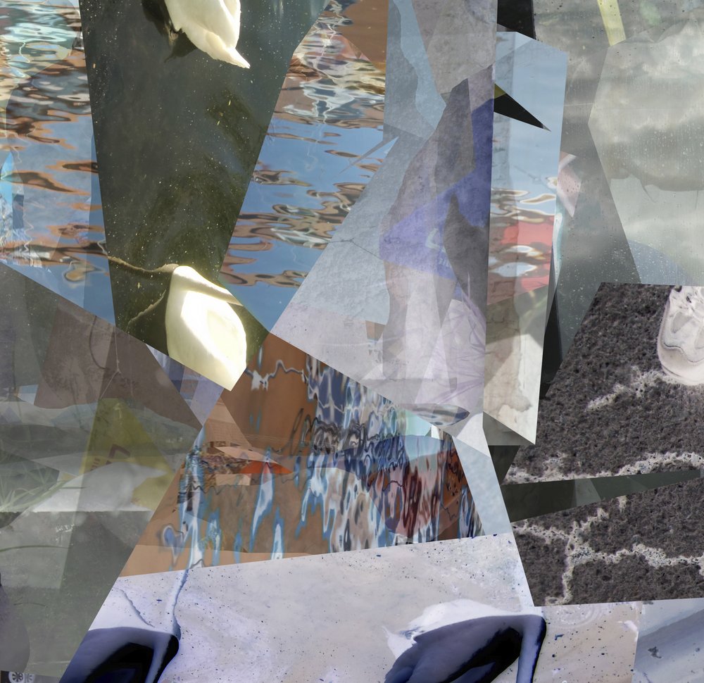 Cisnes de Água Fragmentada de Stefan Fransson