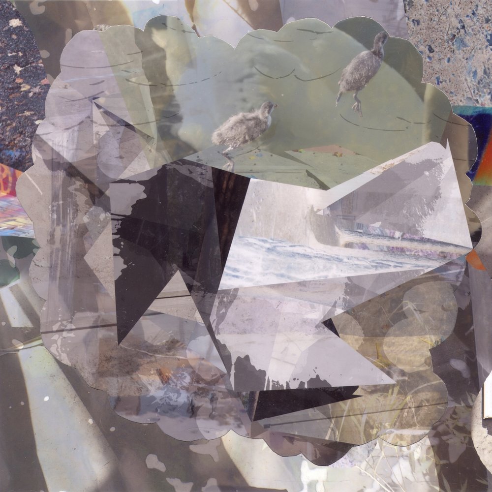 Pássaros abstratos em camadas de Stefan Fransson